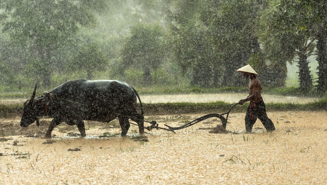 Laos'a Seyahat Maliyeti