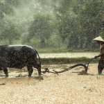 Laos'a Seyahat Maliyeti