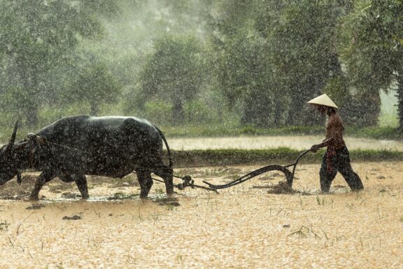 Laos'a Seyahat Maliyeti